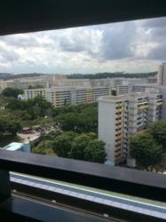 Blk 441A Clementi Avenue 3 (Clementi), HDB 5 Rooms #129444872